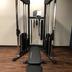 Palestra