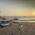 Spiaggia