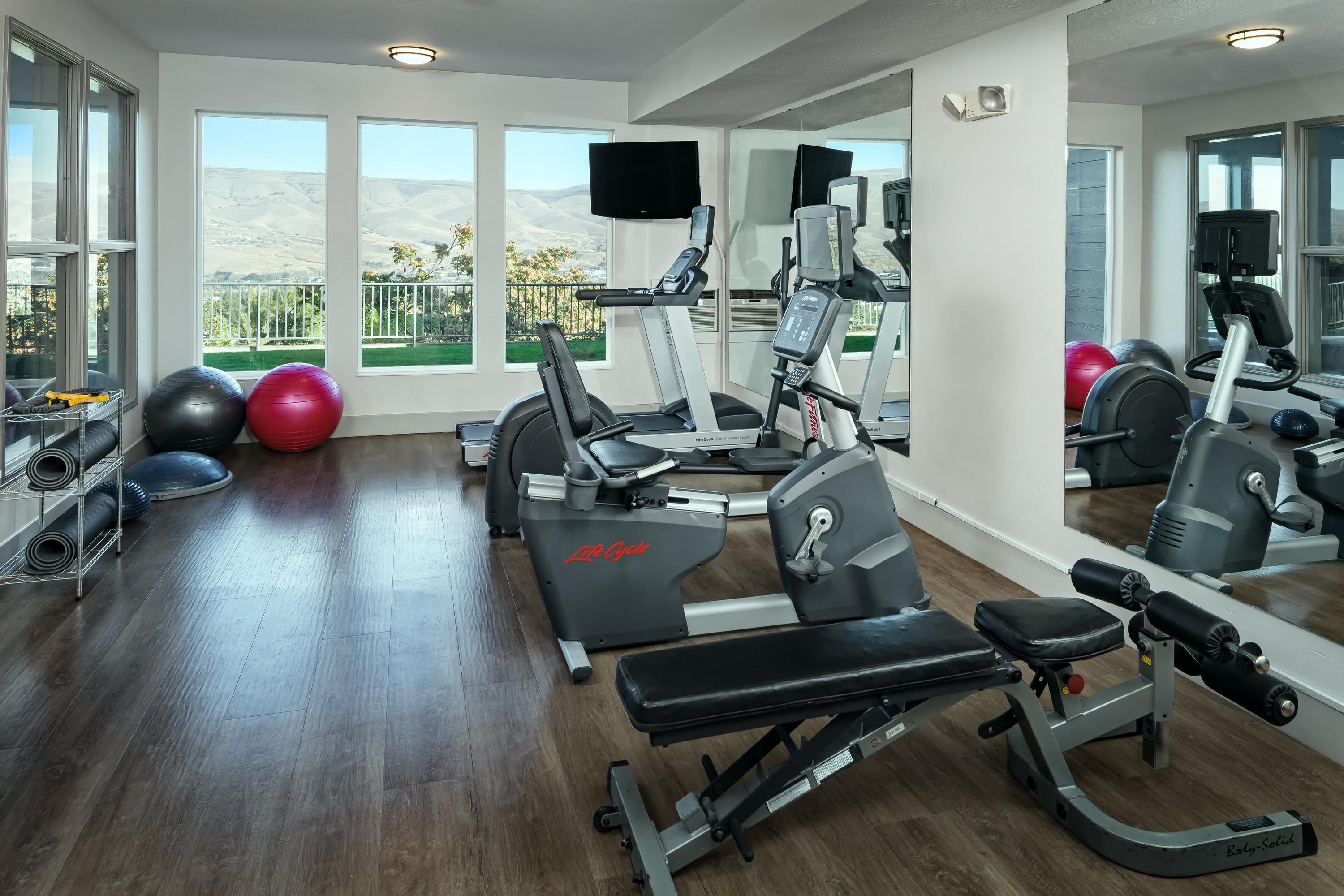 Palestra