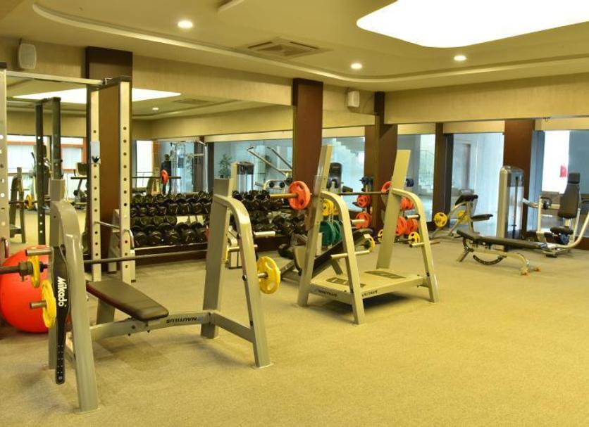 Palestra Foto