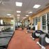 Palestra