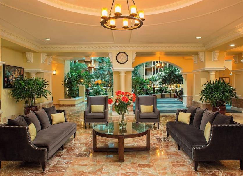 Area lounge Foto