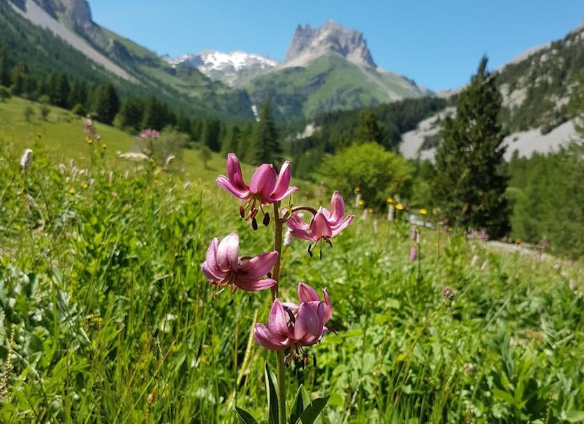 Vista esterna Foto
