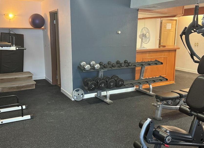 Palestra Foto