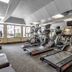 Palestra