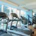 Palestra