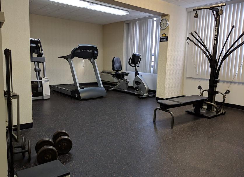 Palestra Foto