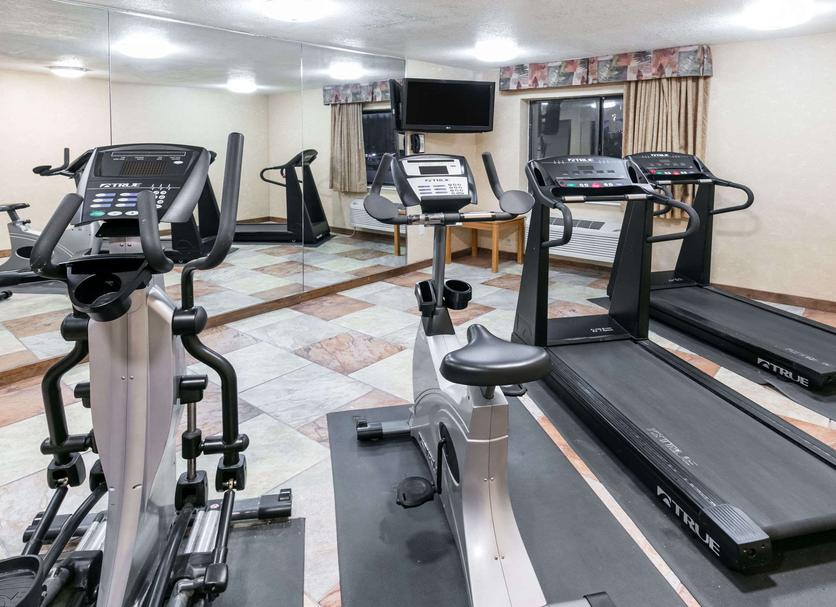 Palestra Foto
