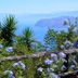 Vista esterna