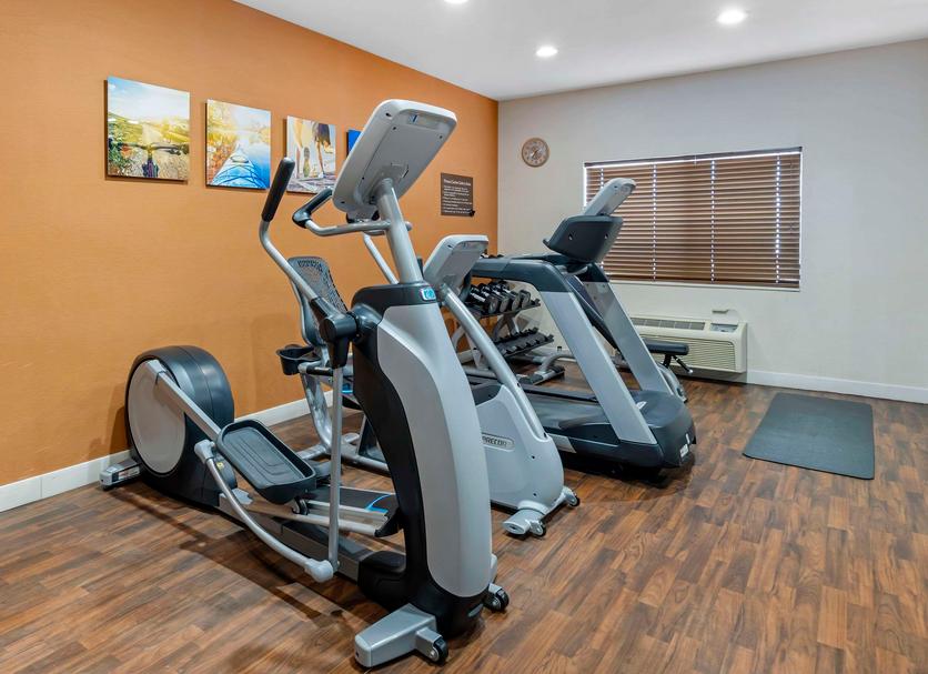 Palestra Foto