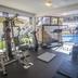 Palestra