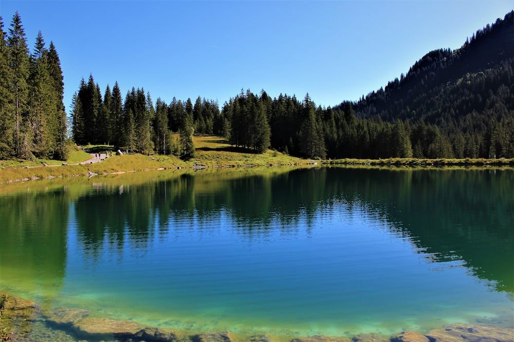 Altro Foto
