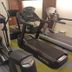 Palestra
