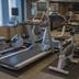 Palestra