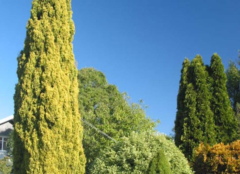 Vista esterna Foto