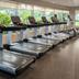 Palestra