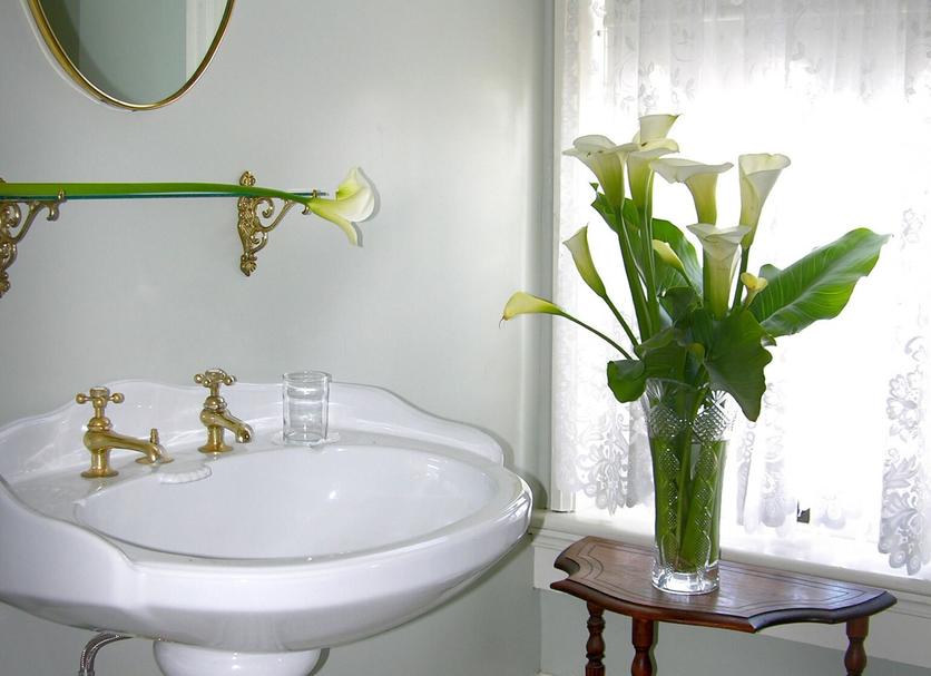 Bagno Foto