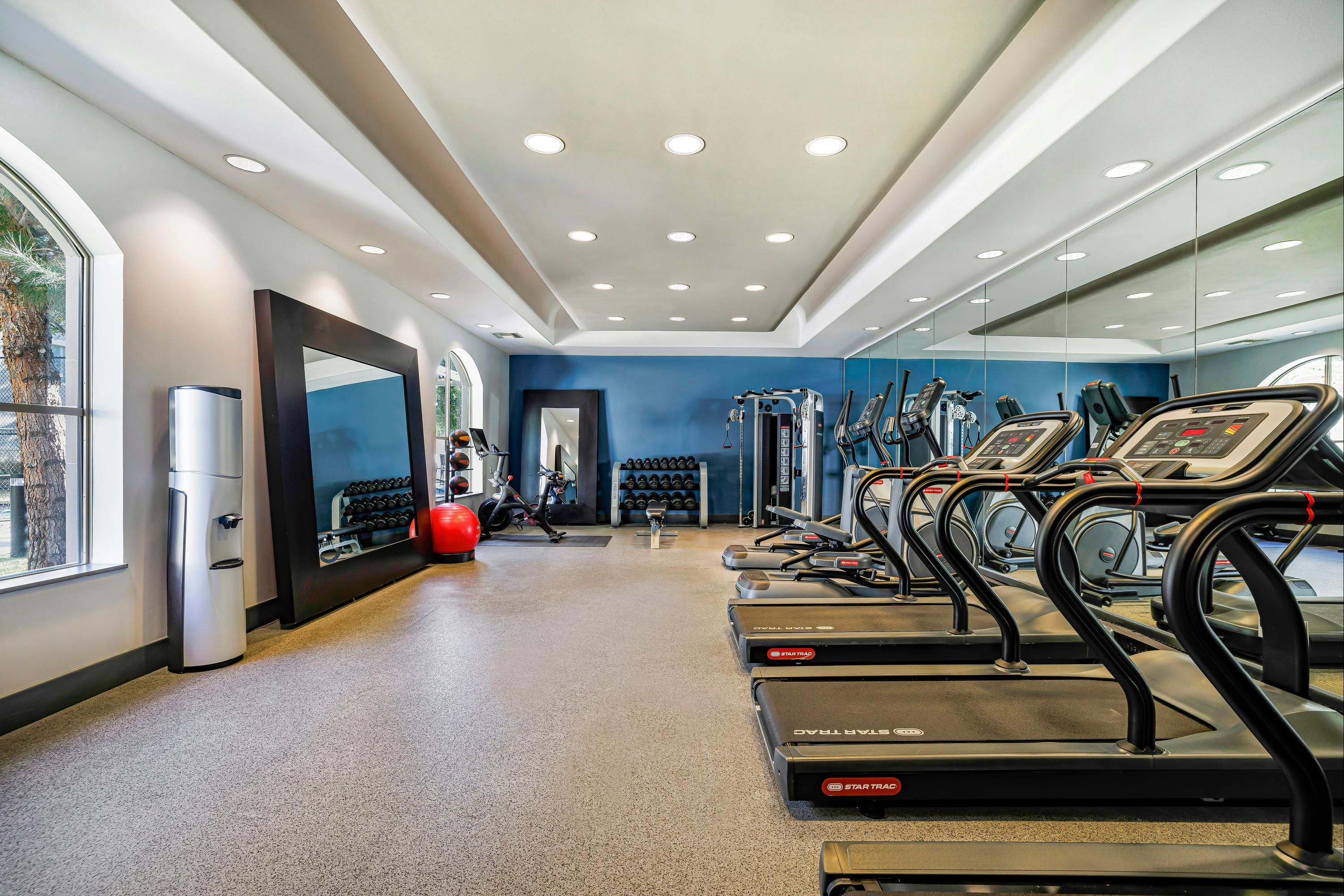 Palestra