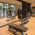 Palestra