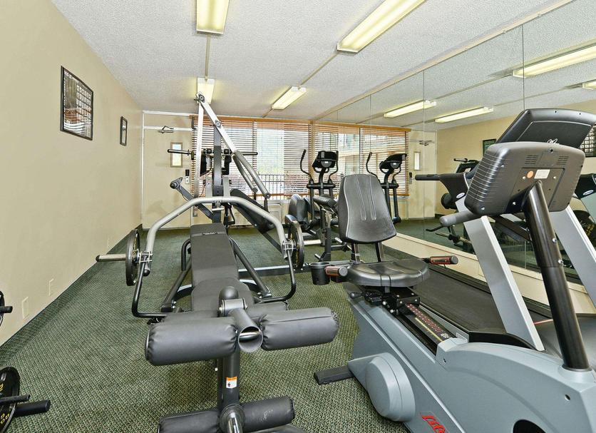 Palestra Foto