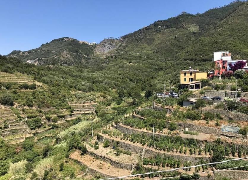 Vista esterna Foto
