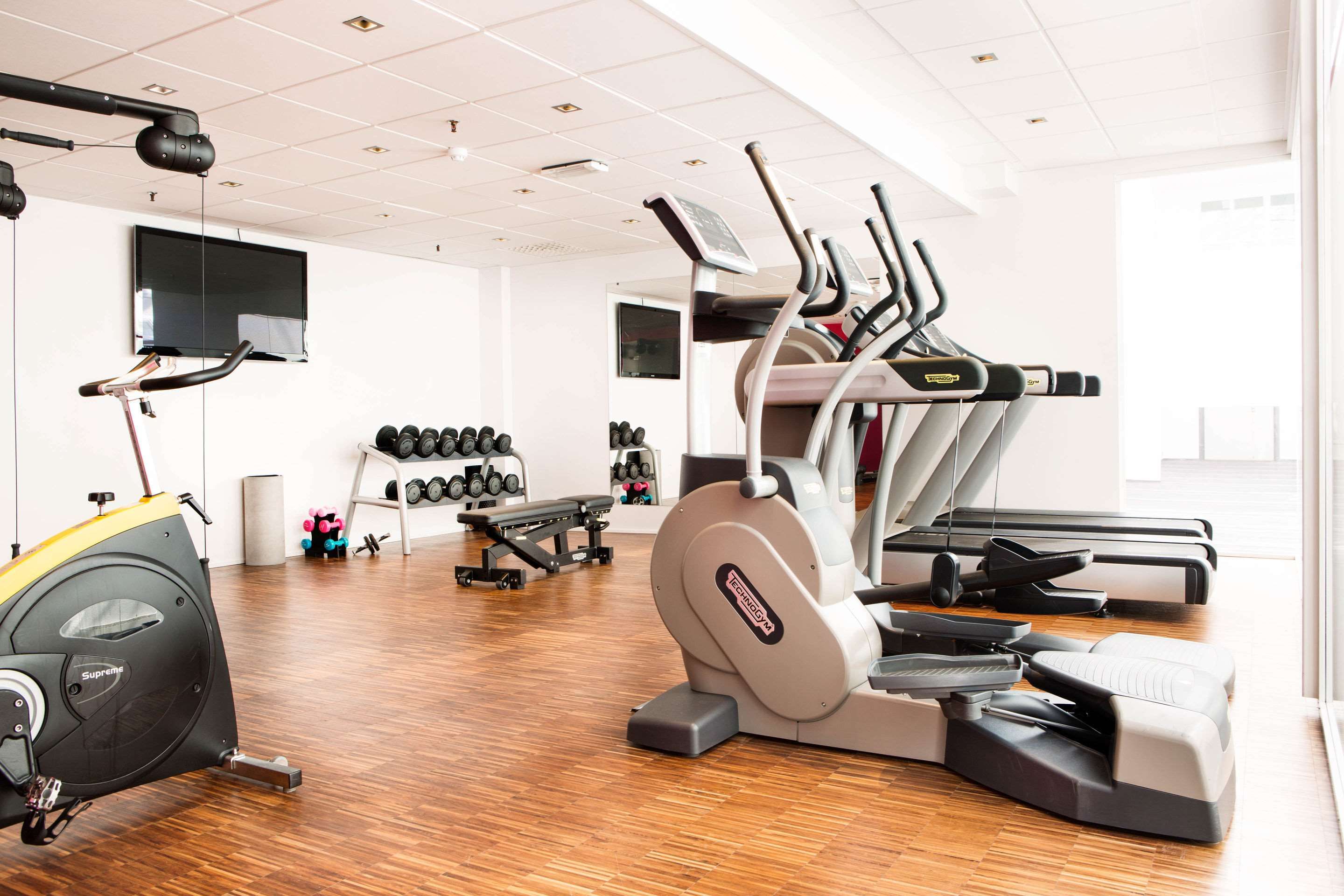Palestra
