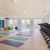 Palestra