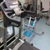 Palestra