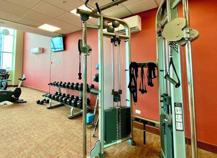 Palestra Foto