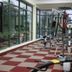 Palestra