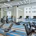 Palestra
