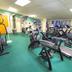 Palestra