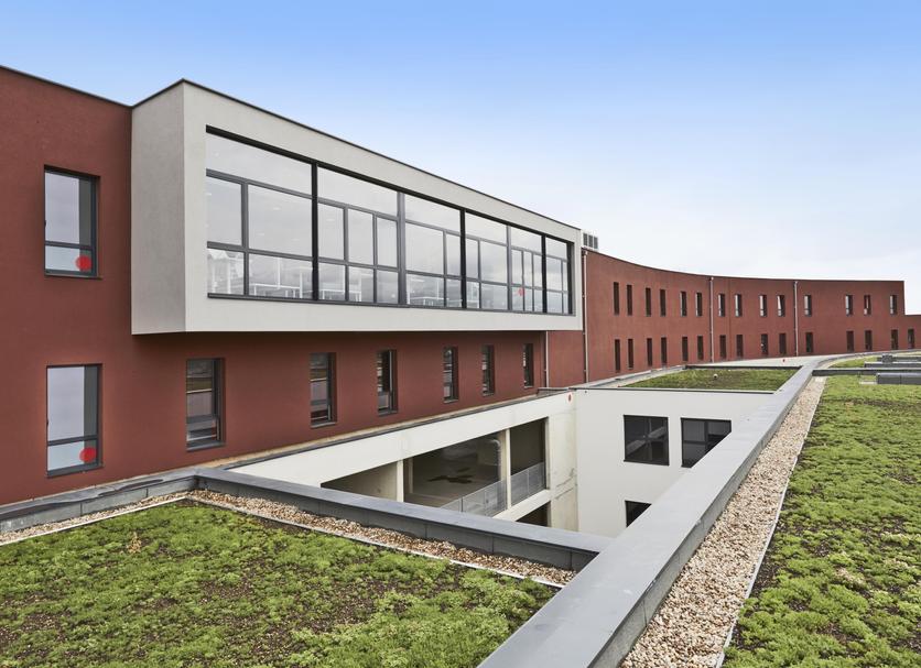 Edificio Foto