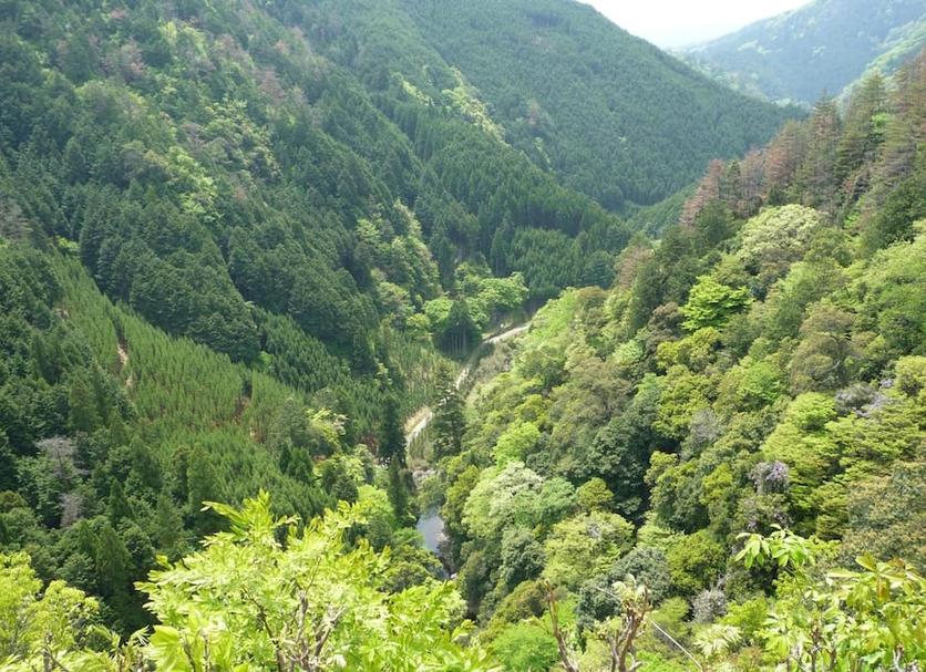 Vista esterna Foto