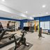 Palestra