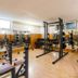 Palestra