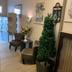 Ingresso