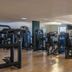 Palestra