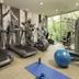 Palestra