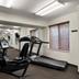 Palestra