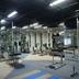 Palestra