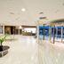 Ingresso