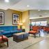 Area lounge