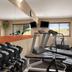 Palestra