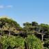 Vista esterna