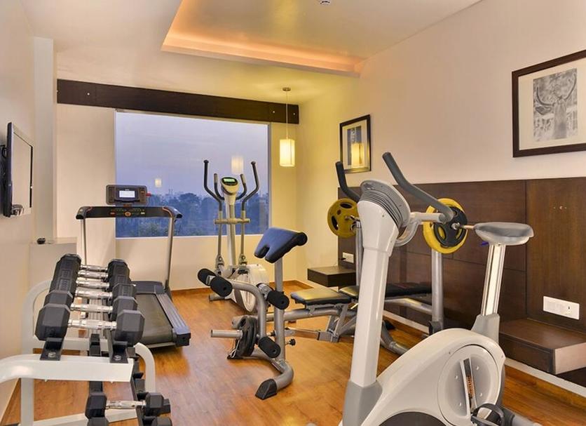 Palestra Foto