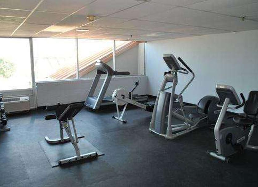 Palestra Foto