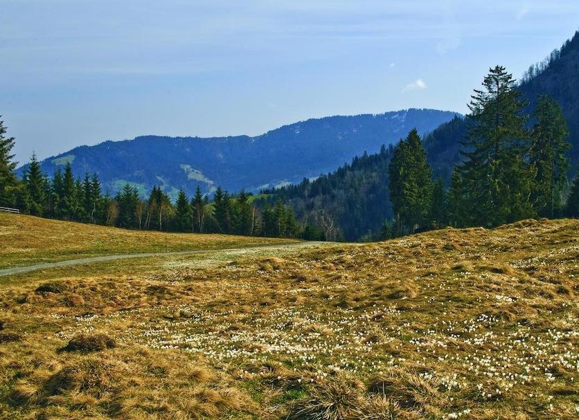 Vista esterna Foto