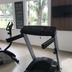 Palestra