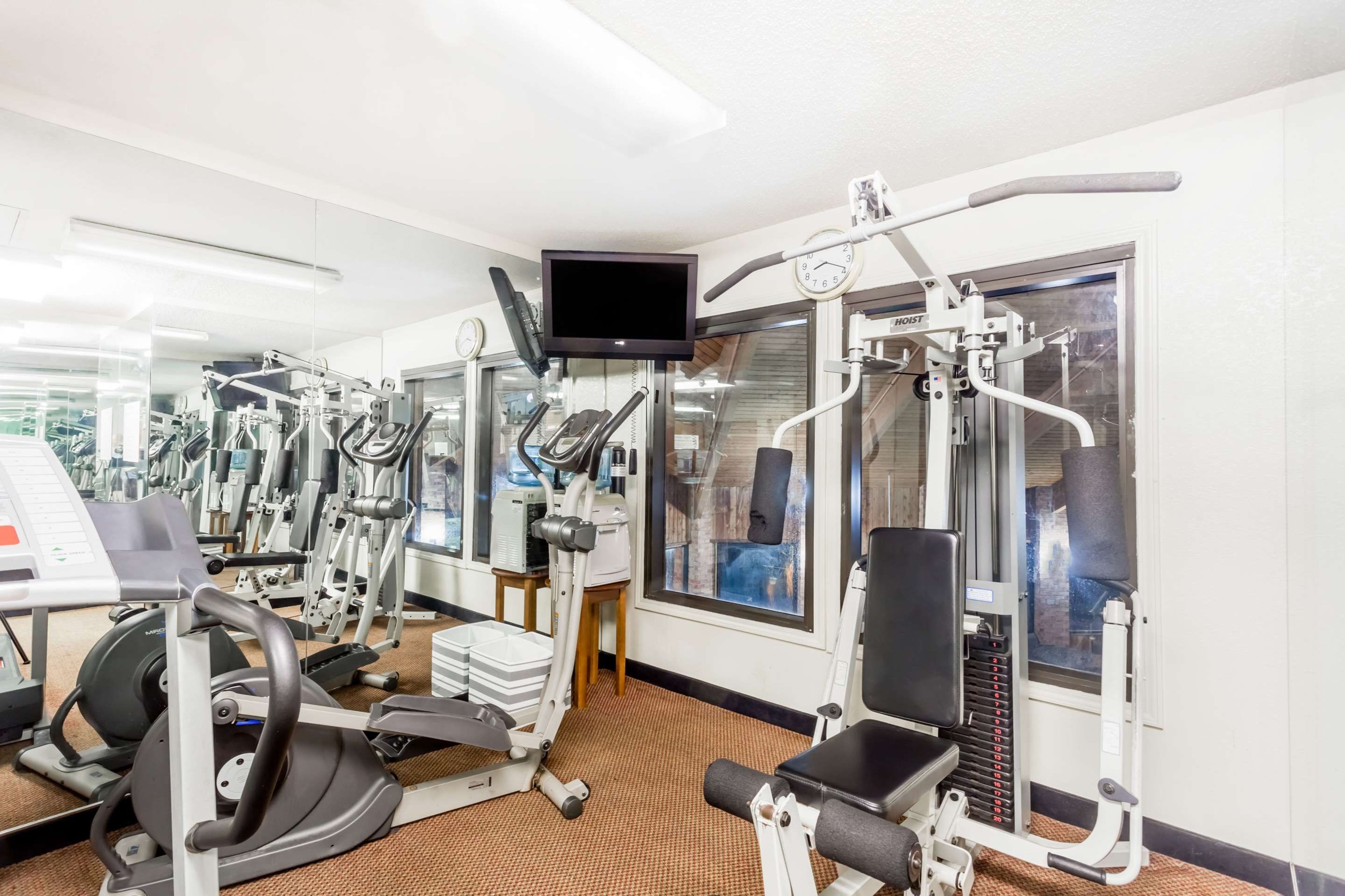Palestra